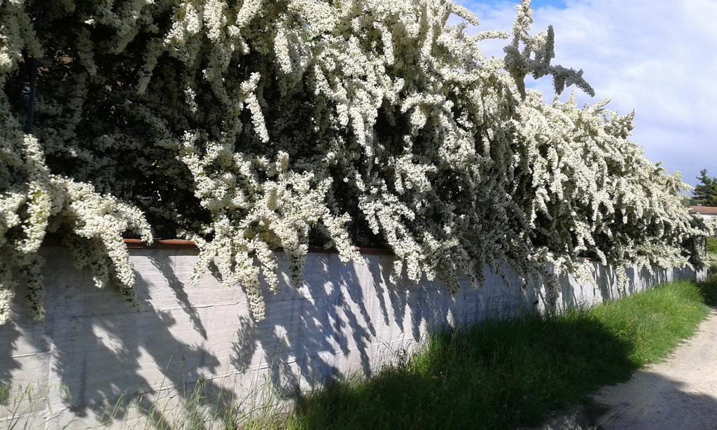 Agriturismo Cardito Santa Rufina Eksteriør billede
