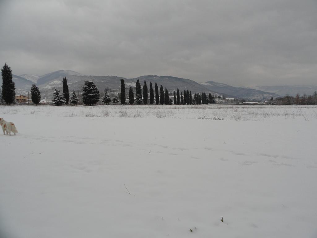 Agriturismo Cardito Santa Rufina Eksteriør billede